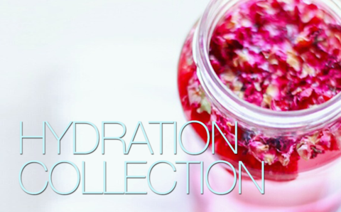 Hydration and Water Infuser Collection